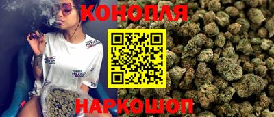 прущие грибы Кингисепп