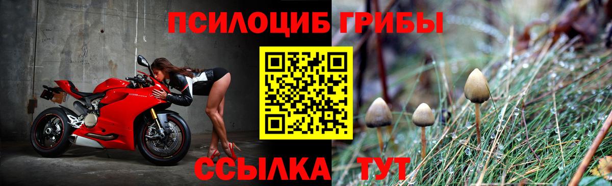 Псилоцибиновые грибы мухоморы Керчь