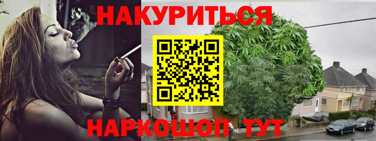 Шишки марихуана планчик  Бошки марихуана конопля  Керчь  Вход с VPN 
